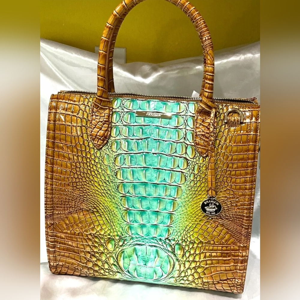 Brahmin Caroline Cactus Ombre melbourne leather Bag
